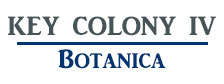 Logo of Key Colony IV Botanica